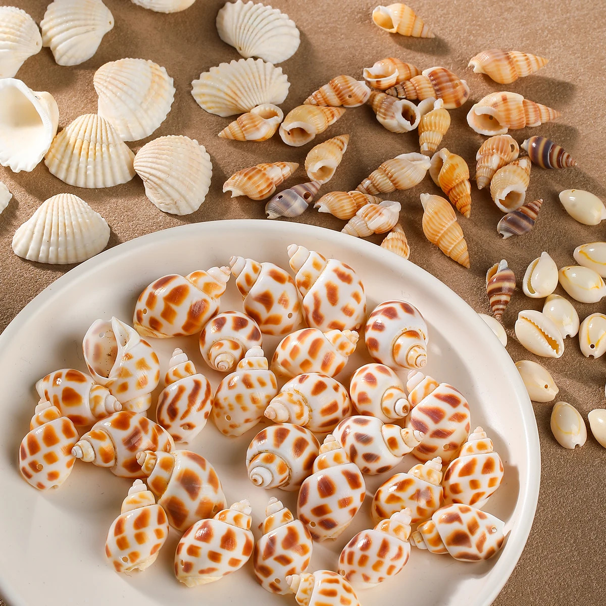 50g/lot Multiple Styles Shells Conch Shaped Beads Spacer Loose Beads for Jewelry