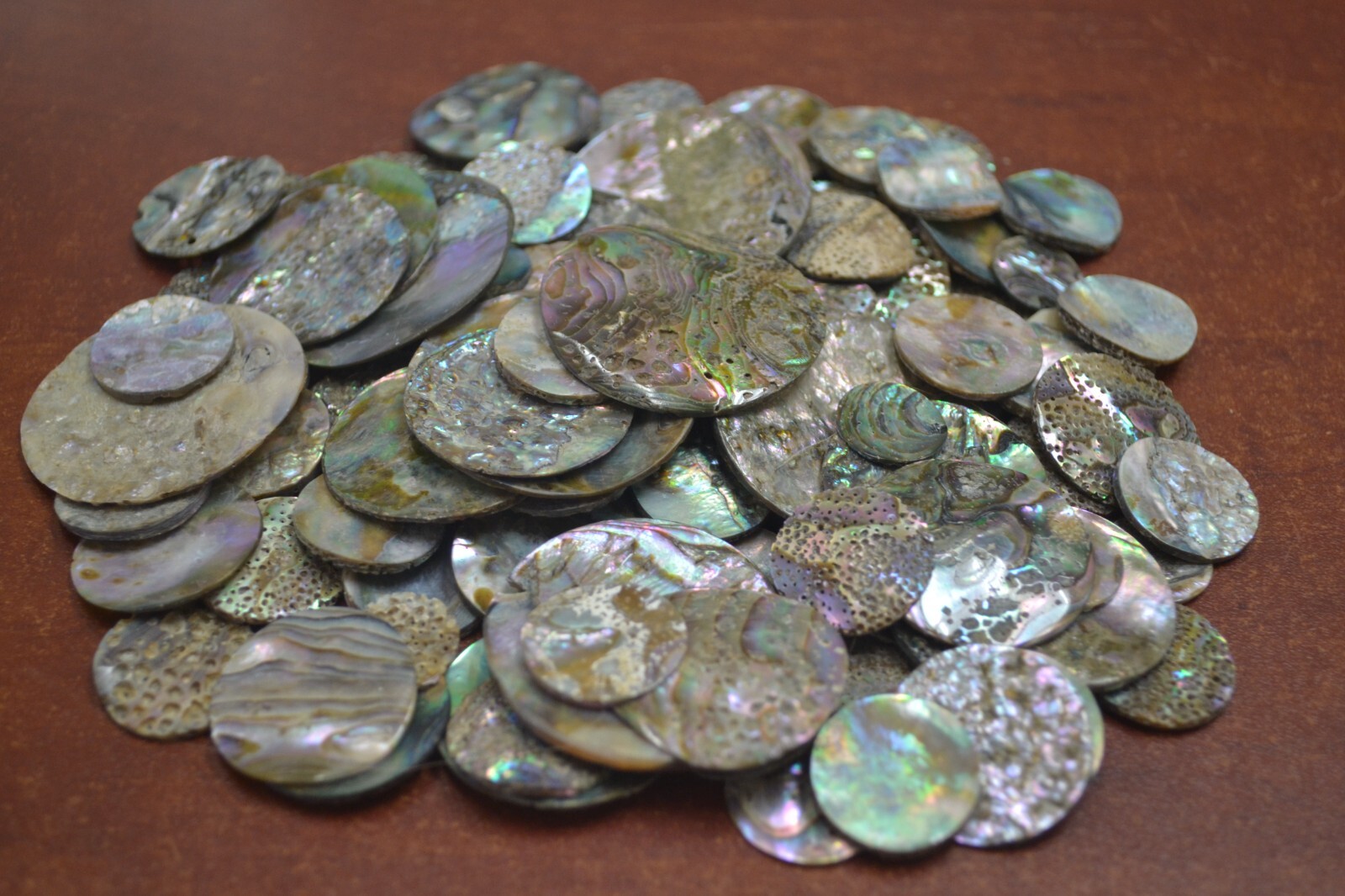 50 PCS ASSORT MIX ROUND ABALONE SHELL BLANK DISC