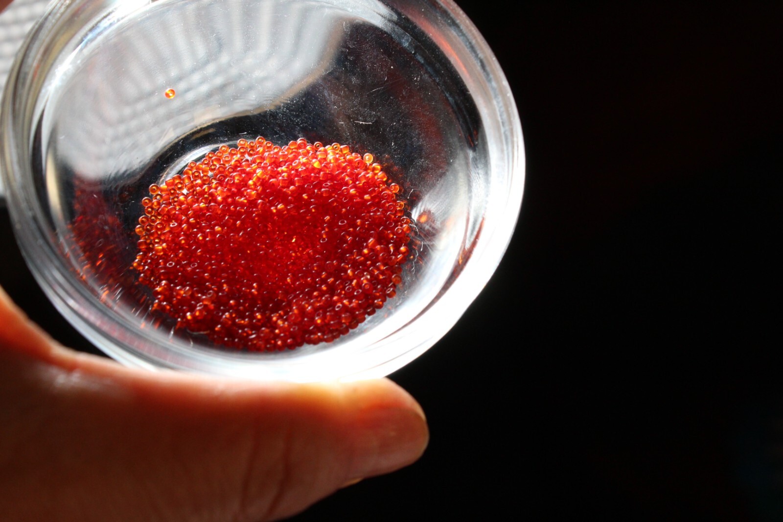 Antique Micro Seed Beads-14/0 Juicy Transparent Red Slightly Variegated-1 Kilo!