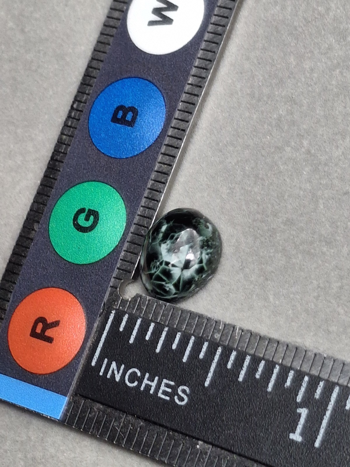 Dark Beauty tIsle Royale Greenstone Turtleback Pattern Michigan Chlorastrolite