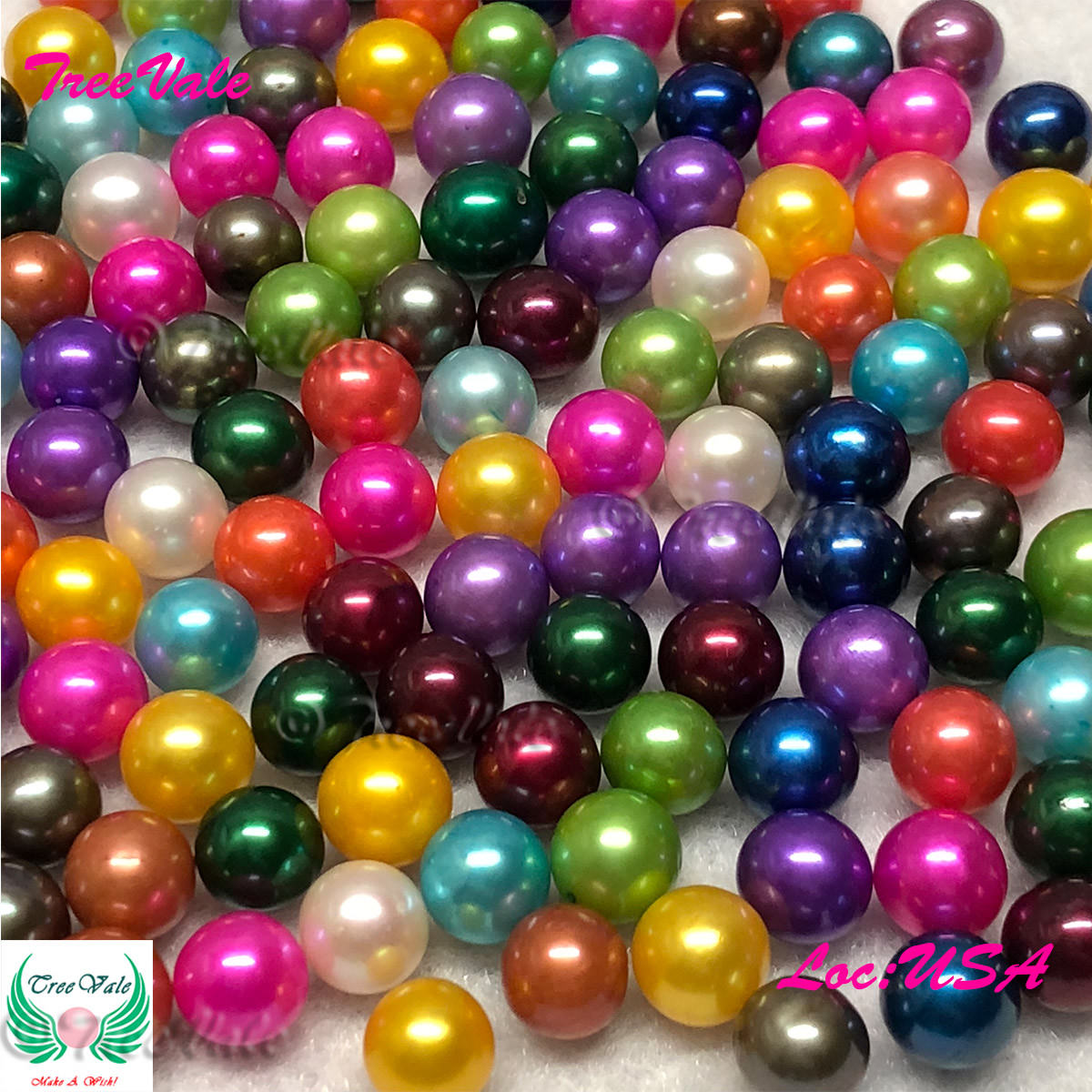 20 Akoya Oysters with LARGE pearls – Individually Vacuum Sealed