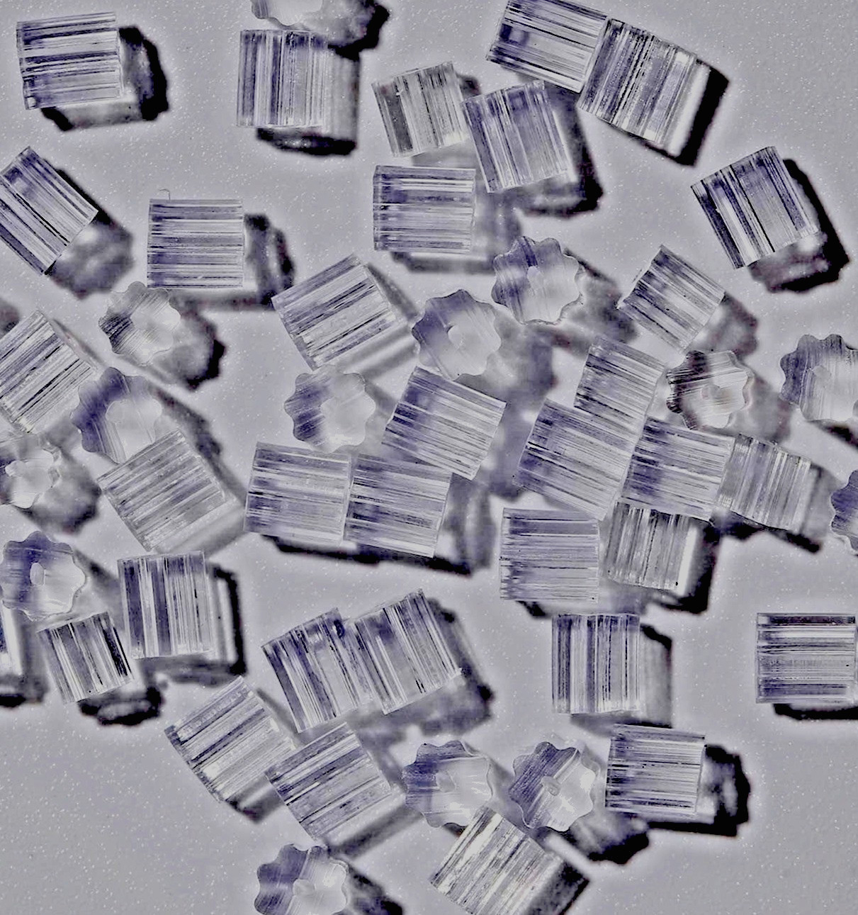24 pc Earring Star Backs Stopper Replacement for Studs or to Secure Hook Earring