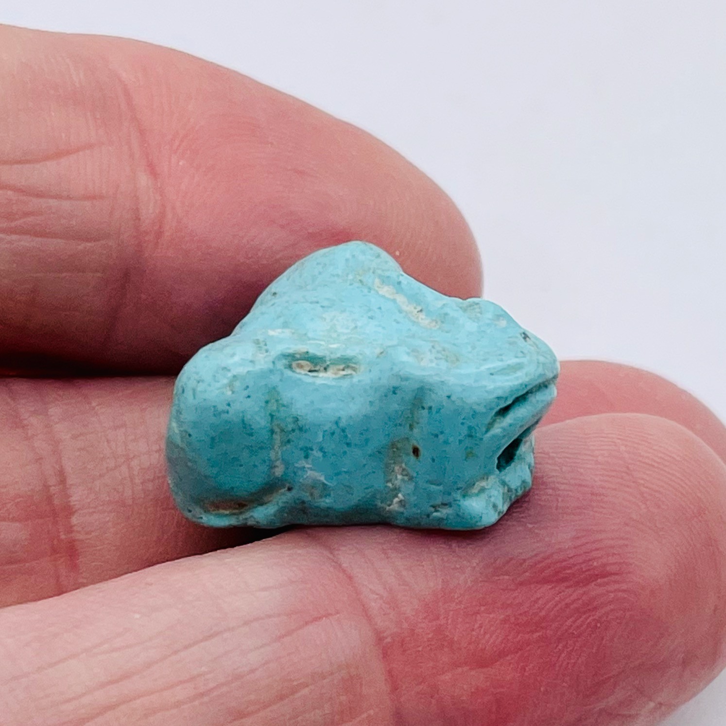 Turquoise Carved Frog Bead } 23x14x11mm | 1 Bead | | 23x14x11mm | Blue