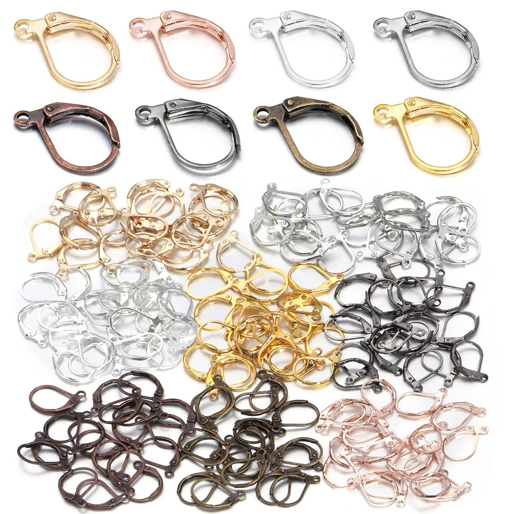 50Pcs Hypoallergenic Earring Hooks French Lever Back Earwire Stainless Steel Ear