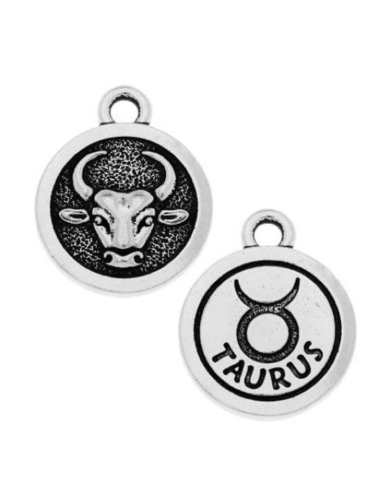 TierraCast Antique Fine Silver Plated Pewter Charms Zodiac Signs Two Sided New