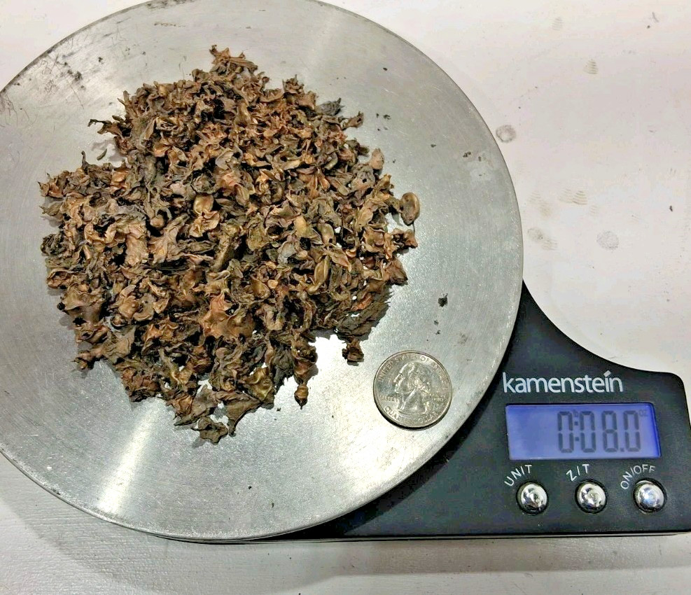 High Quality Bronze Shot for Casting Small Projects 8oz bag Free Shipping!