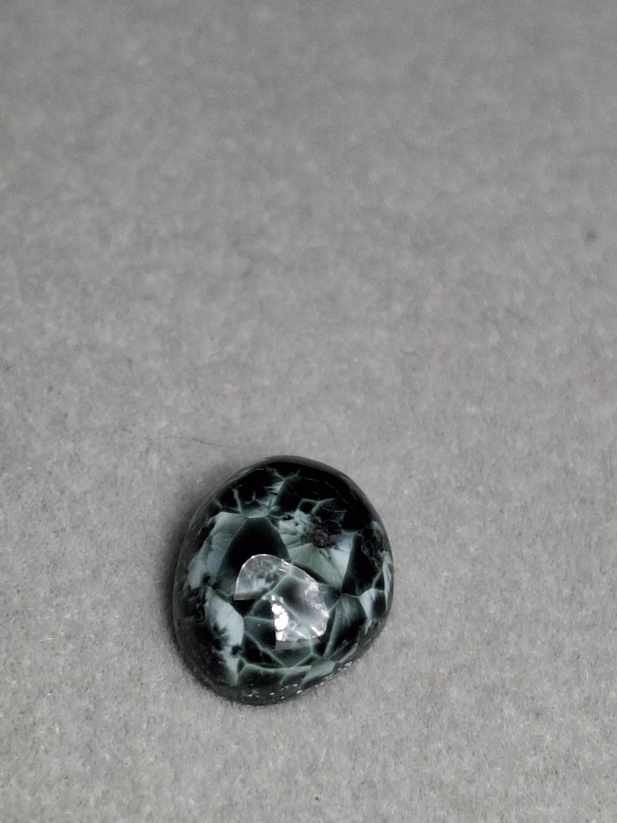 Dark Beauty tIsle Royale Greenstone Turtleback Pattern Michigan Chlorastrolite
