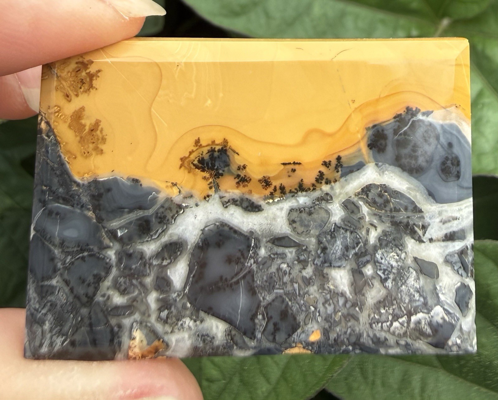 Maligano Jasper Cabochon. 1 3/26” x 1 5/16” x 3/16”. 0.8 ounce. Polished