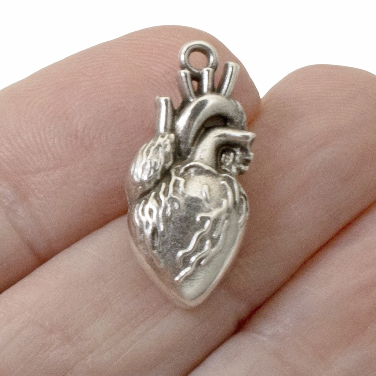 Anatomical Heart Pendants, 2-Pack Sterling Silver Plated Medical Science Gift