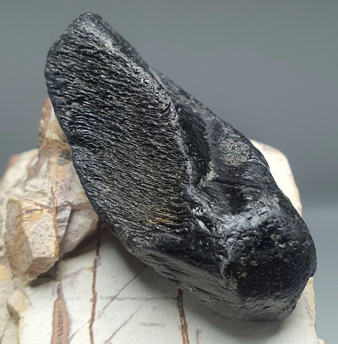 83.26 Black Spinel Pleonaste Rare Natural black Spinel Thailand Kanchanaburi