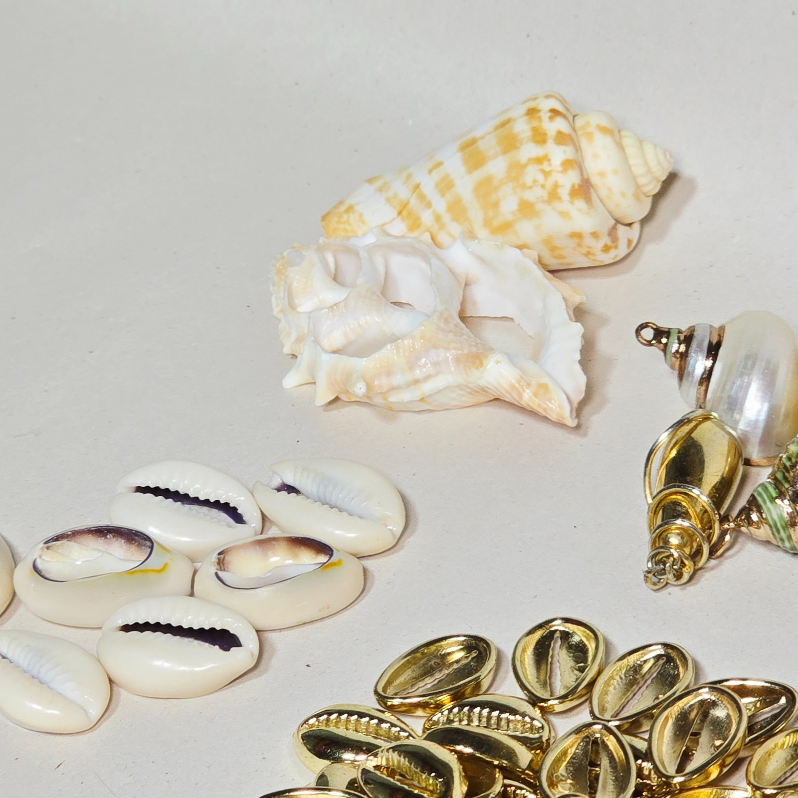 24K Gold Dipped Cowrie Shell Pendant Scallop Boho 24K Gold Dipped Charm
