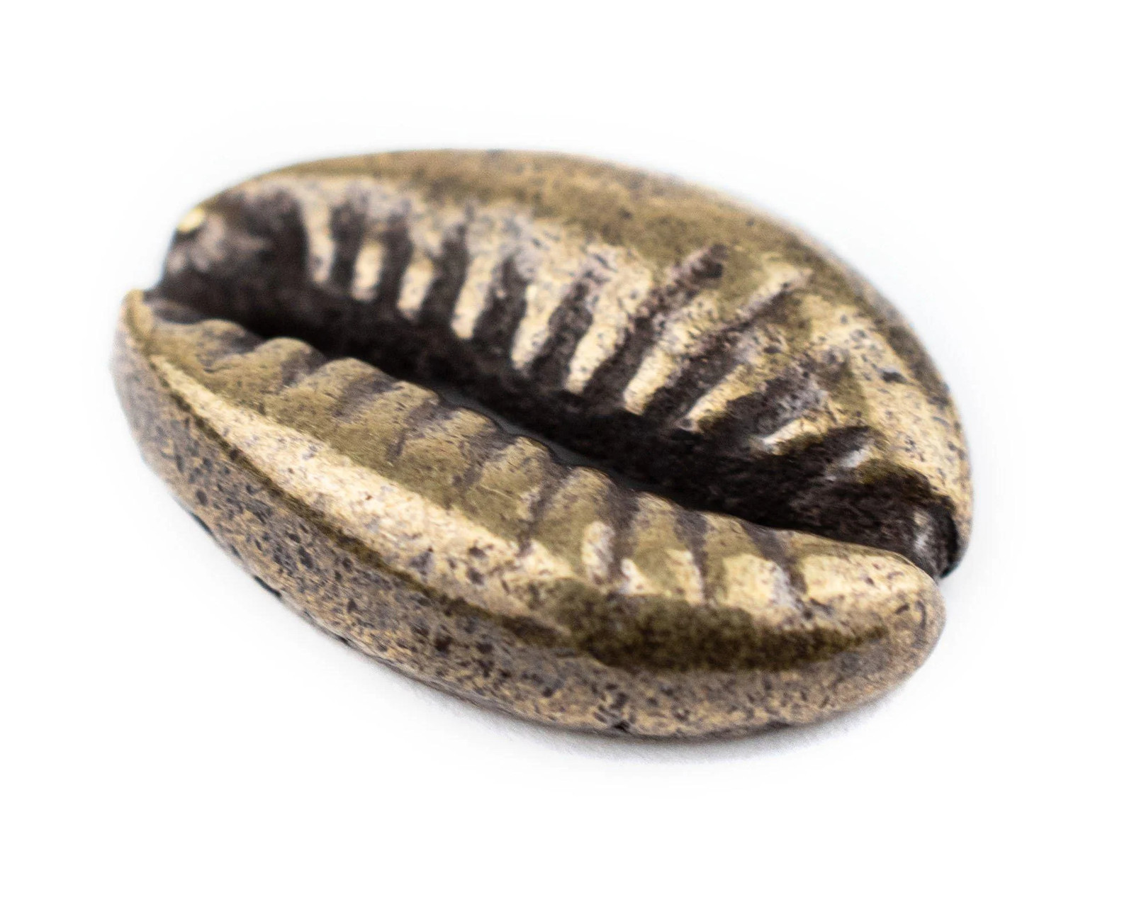 Antiqued Brass Cowrie Shell Beads Set of 5 18mm Unusual
