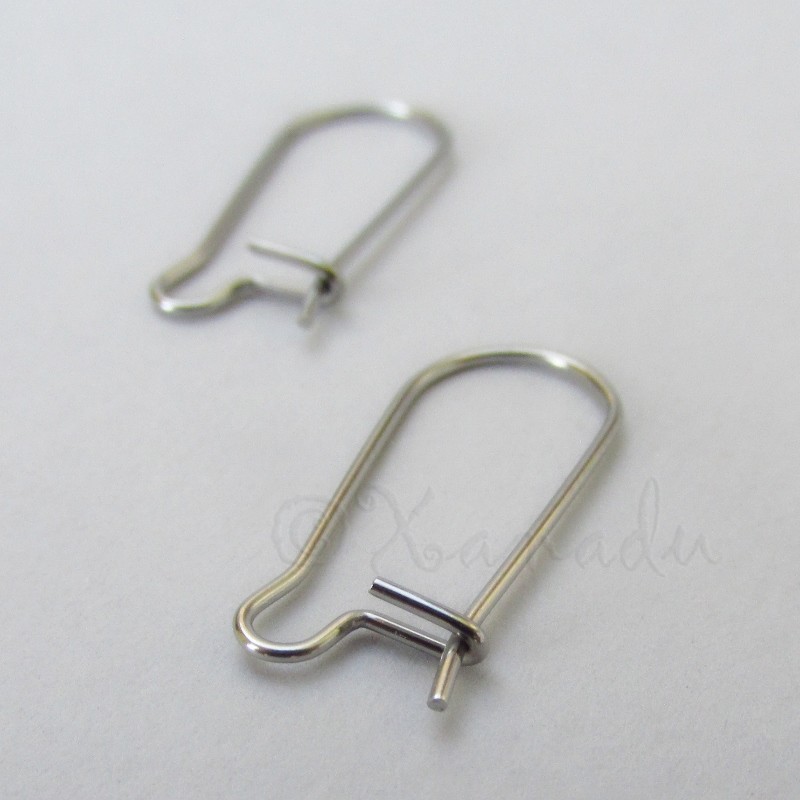Kidney Earring Hooks – 20mm Stainless Steel Findings F1066 – 5, 10 Or 20 Pairs