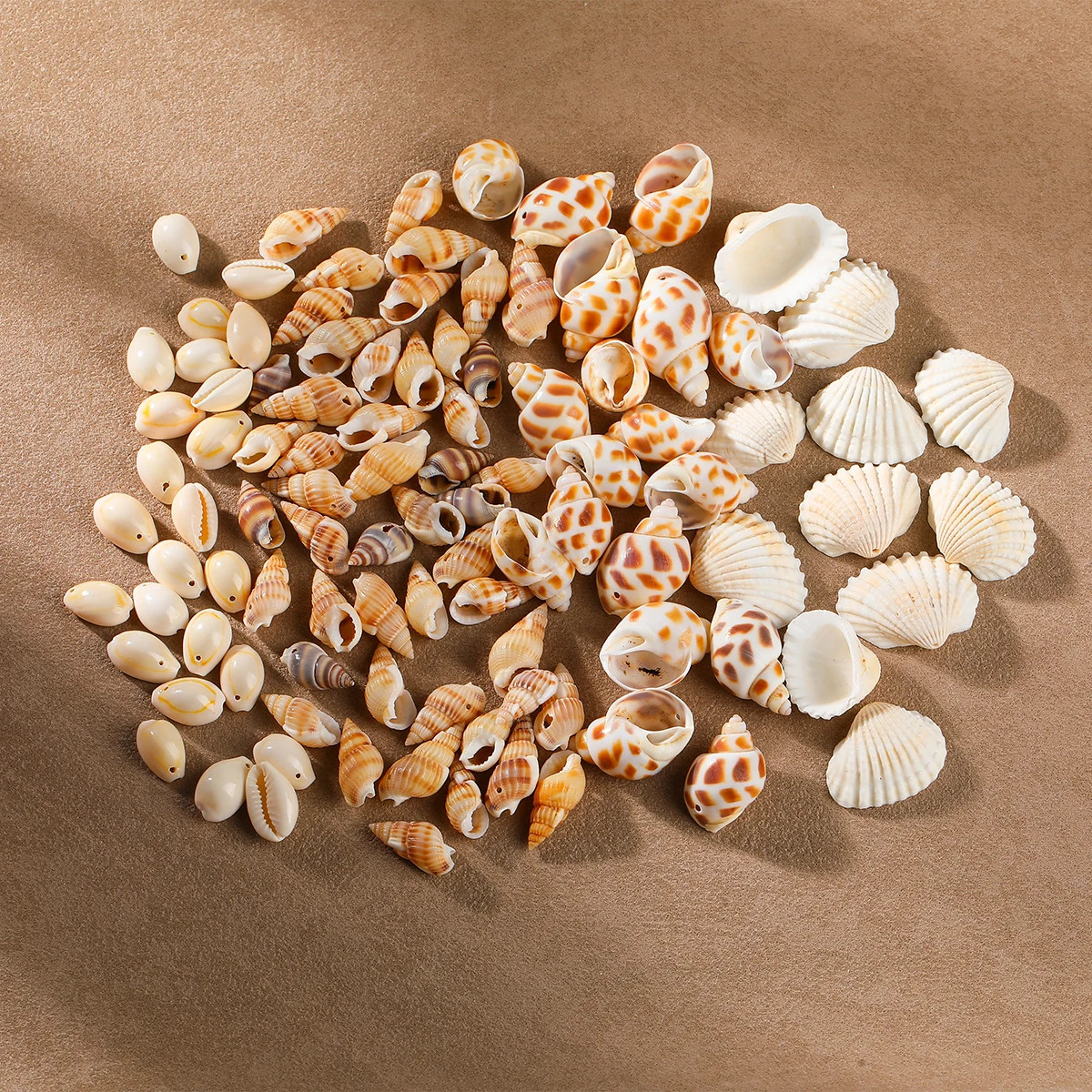 50g/lot Multiple Styles Shells Conch Shaped Beads Spacer Loose Beads for Jewelry