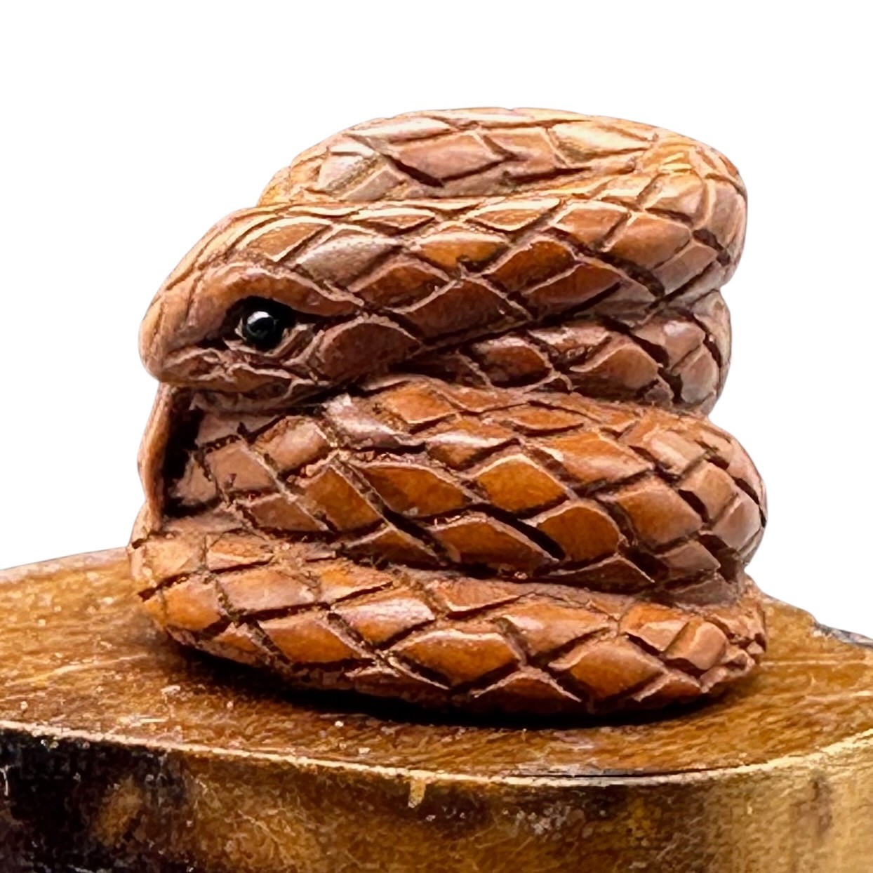 Year of the Snake 2025 Coiled Boxwood Bead | 1 Netsuke | | 17x22x23mm | Brown