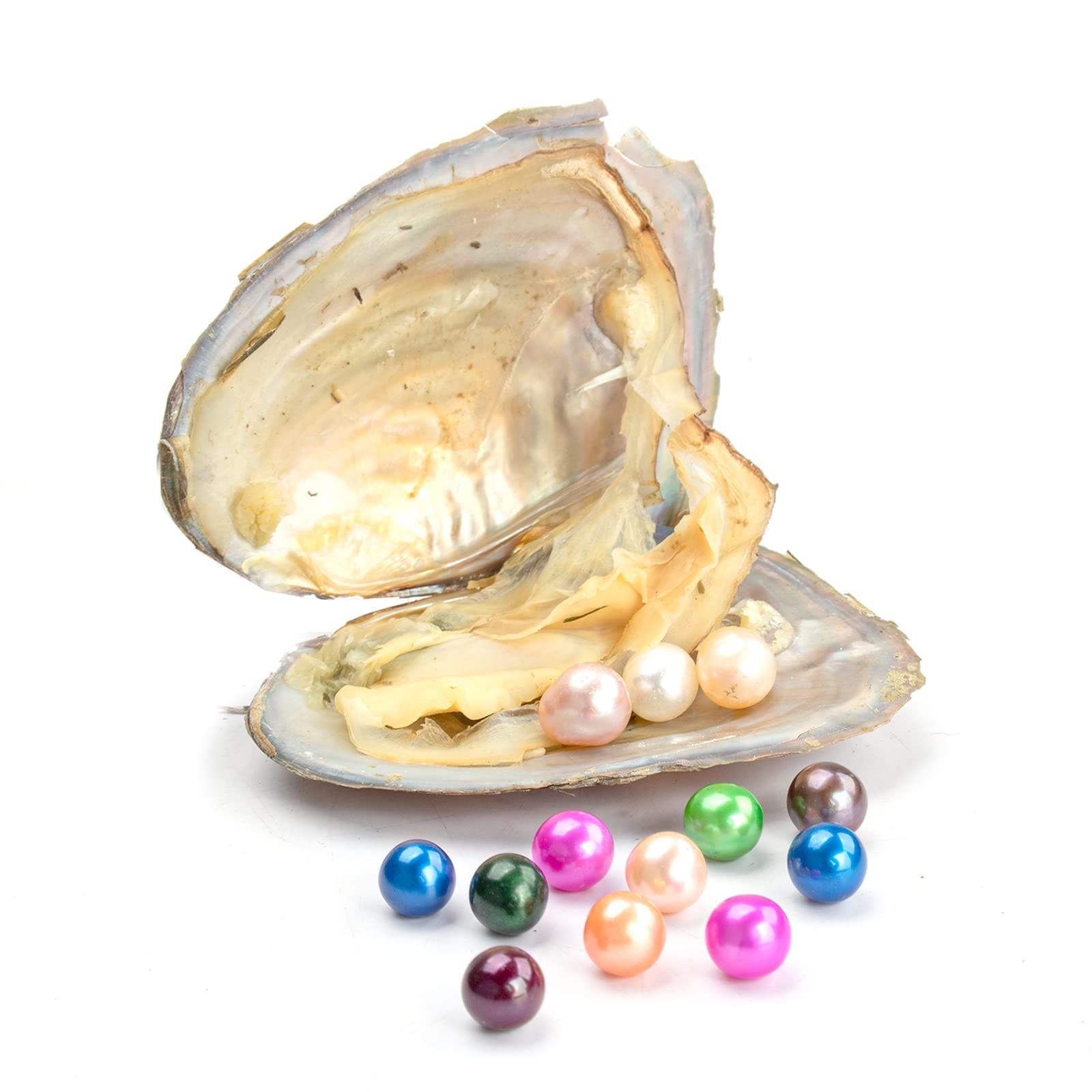 50 PC Freshwater Oyster with Pearls Inside Round Pearls Oysters Bulk 7-8mm Lo…