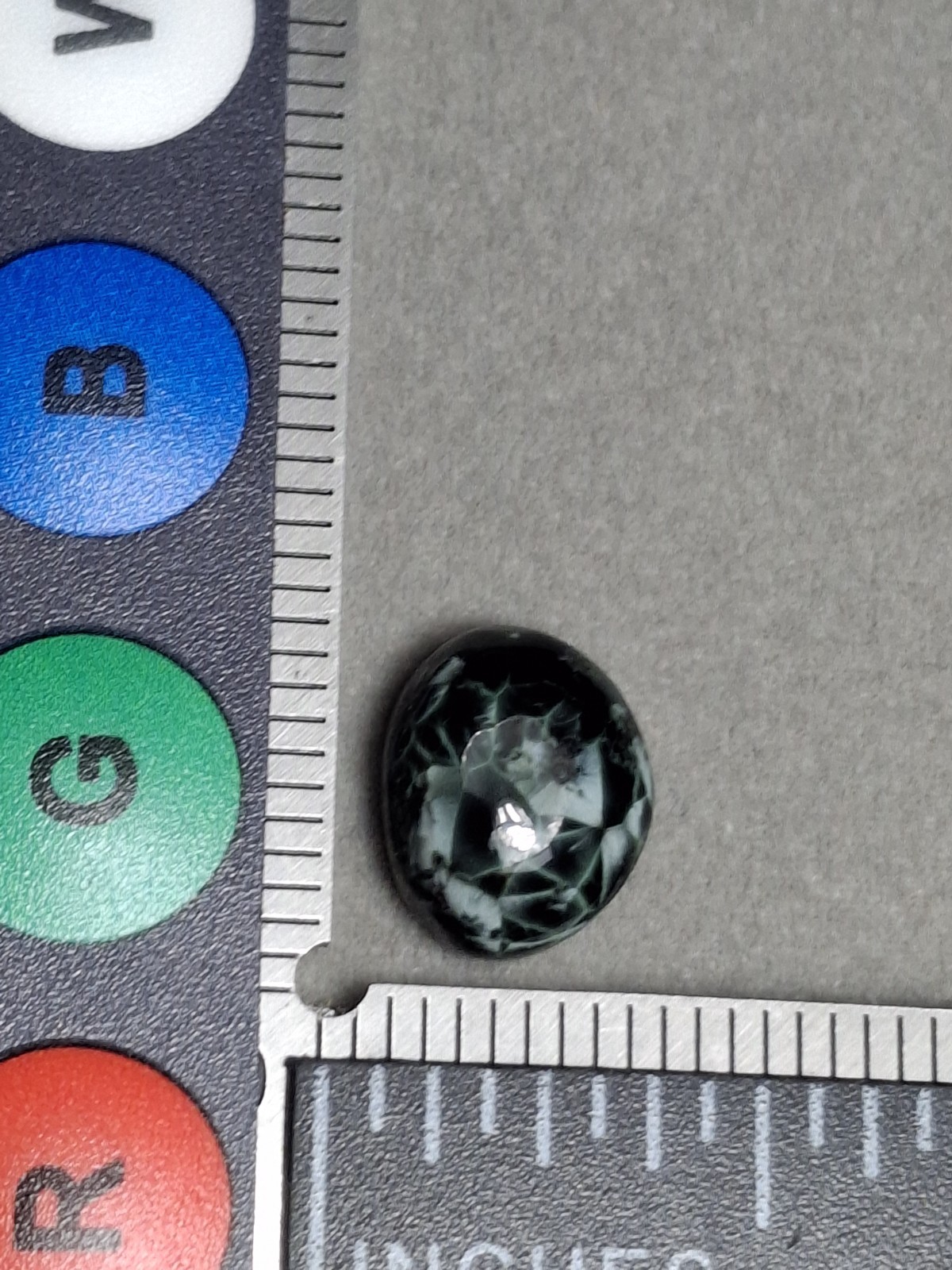 Dark Beauty tIsle Royale Greenstone Turtleback Pattern Michigan Chlorastrolite