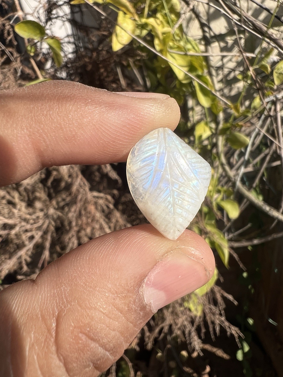 AAA Natural Rainbow Moonstone Carving Gemstone 5 Pieces!White Rainbow Carving!
