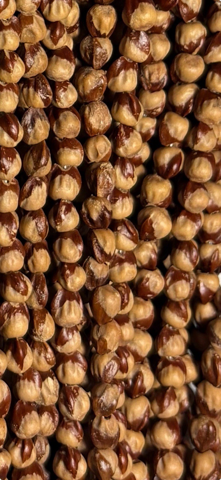 Cedar Beads, Juniper Berries, Ghost Beads, 6/0mm