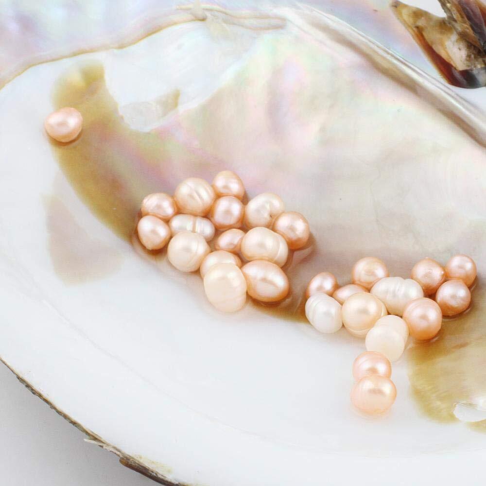 jessie Big Oysters with Plenty of Pearls Inside, 1 PC Cultured Freshwater Oyster