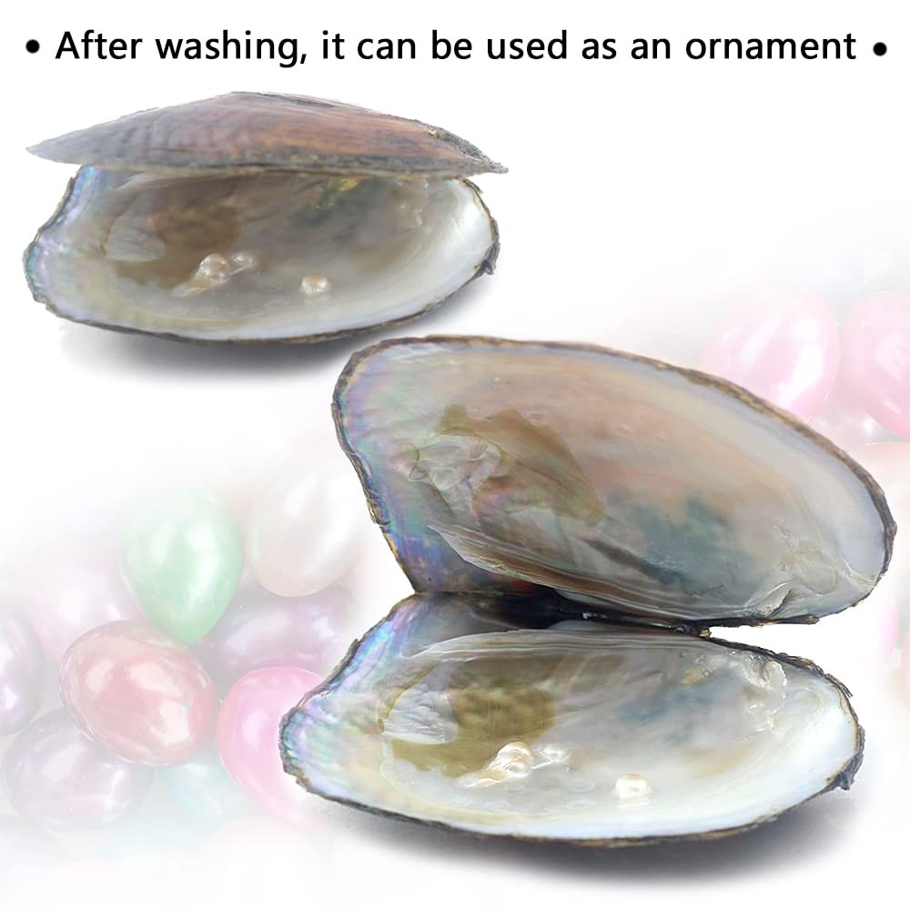 Oyster Pearls, Monster Oysters with Pearls Inside 5-8mm 25 PCs Cultured Fresh…