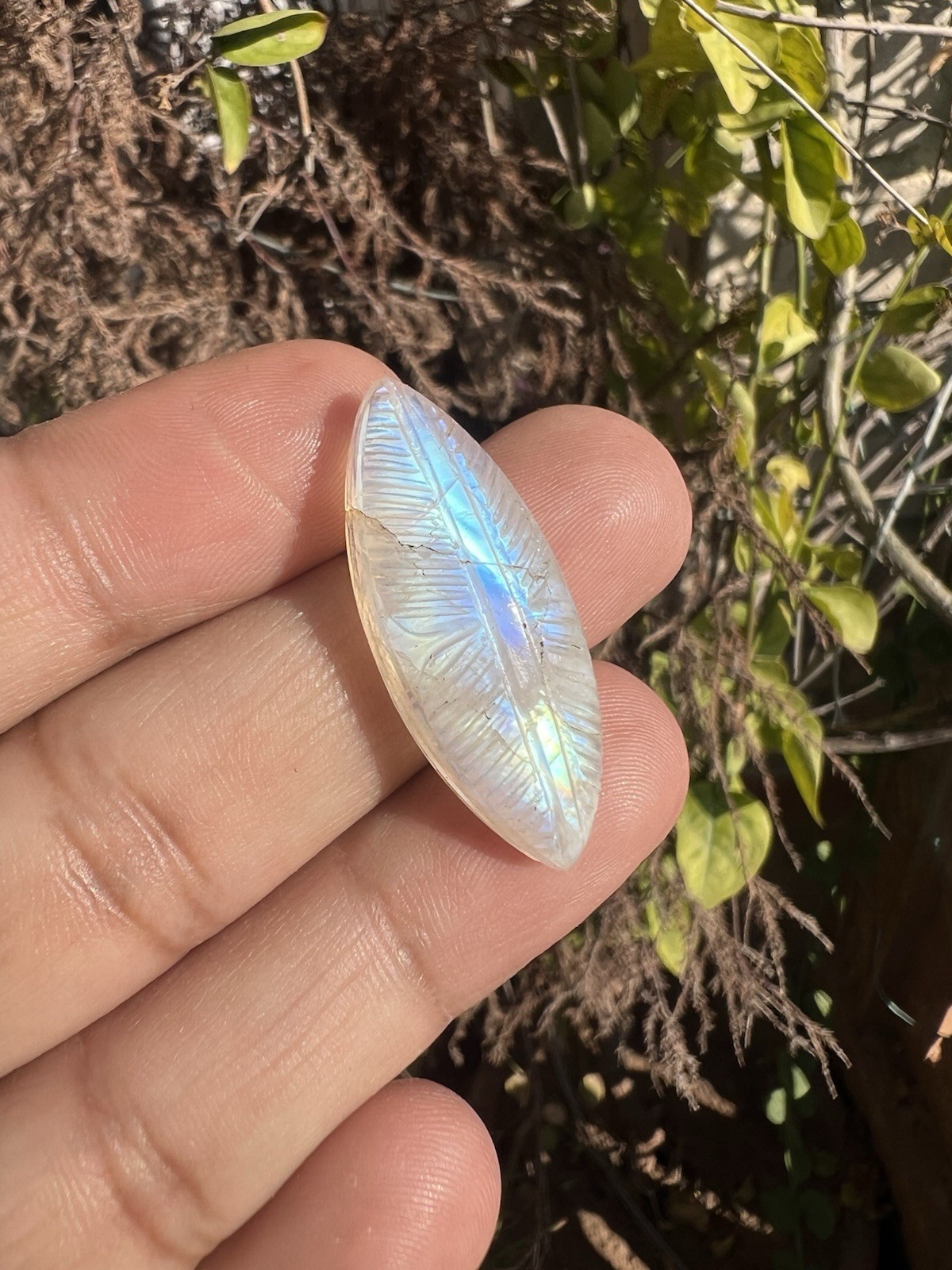 AAA Natural Rainbow Moonstone Carving Gemstone 5 Pieces!White Rainbow Carving!