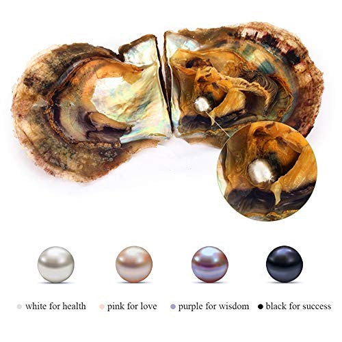 4PC Saltwater Love Wish Akoya Pearl Oyster with Pearls Inside (6-8mm, 4PC)