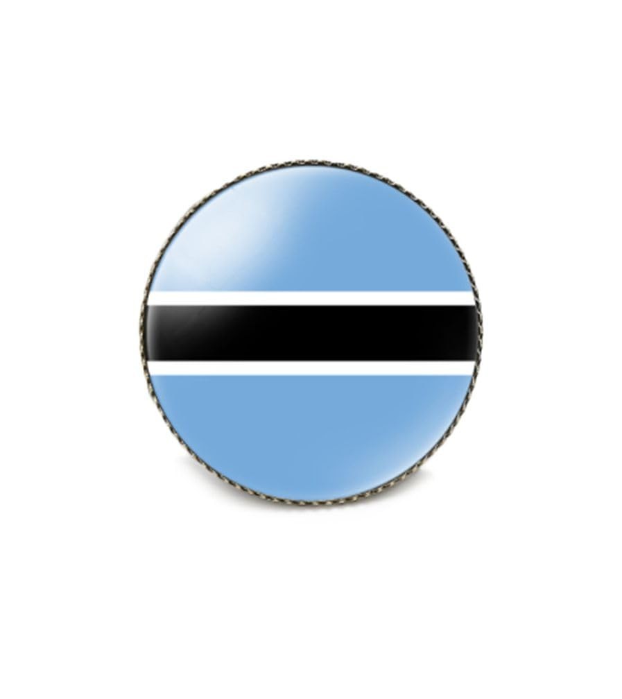 Botswana Single Pin Brooch Badge United States USA America and Botswana Cross Fr