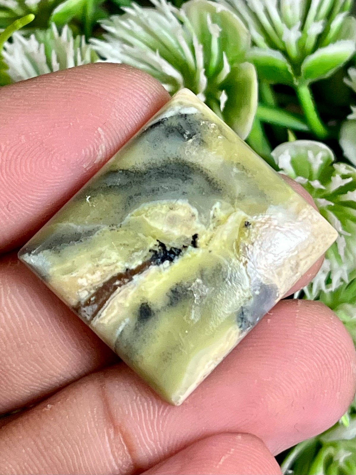 Natural Green Serpentine Cabochon For Jeweller y Making 25.85 Carats 24x22x5 mm