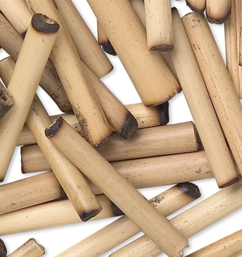Bead, 100 Tan Bamboo Wood 20x3mm-24x4mm Round Tube w/ 0.8-1.3mm Hole