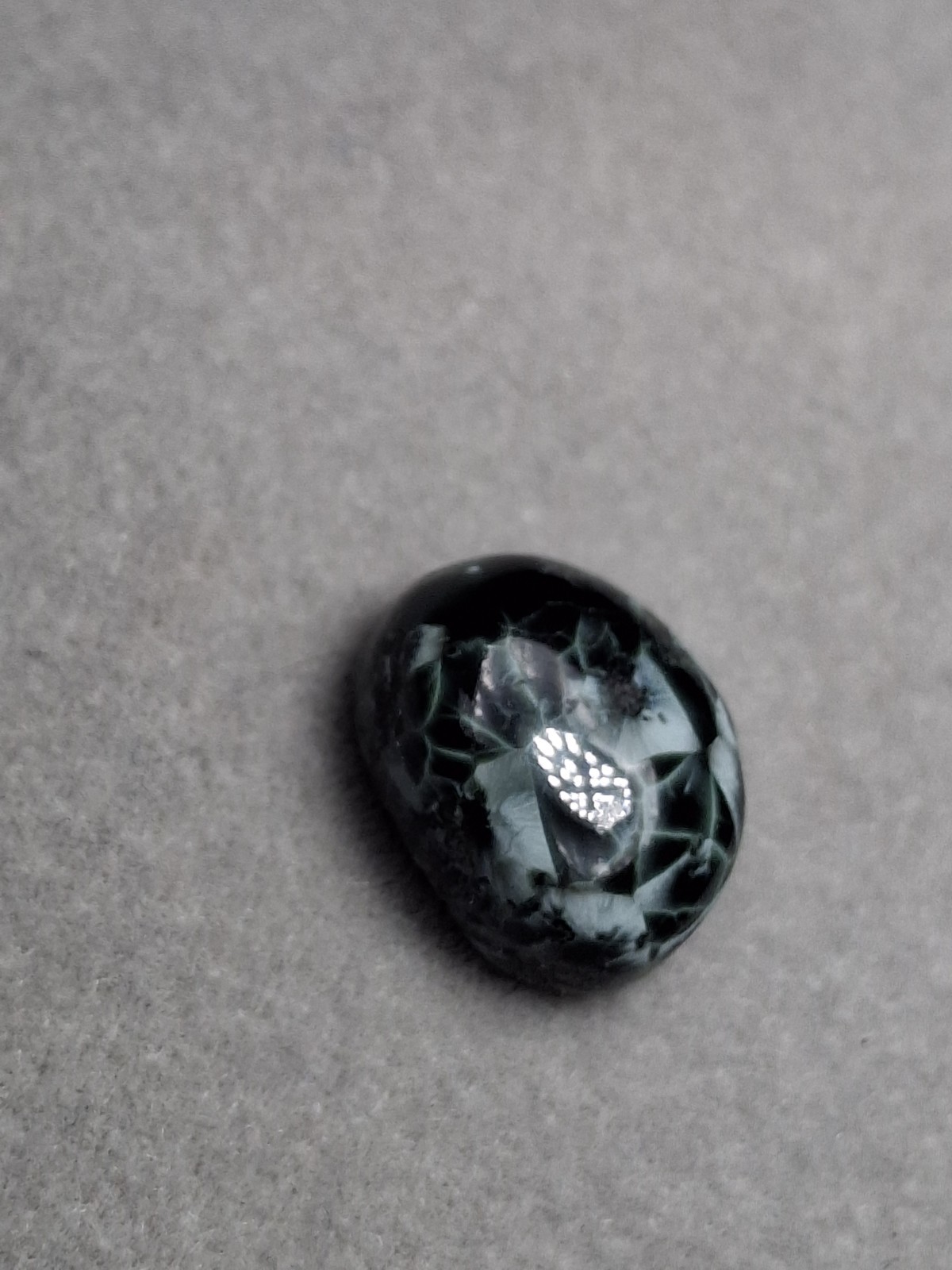 Dark Beauty tIsle Royale Greenstone Turtleback Pattern Michigan Chlorastrolite