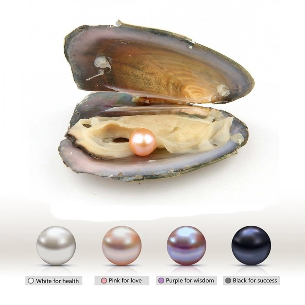 Natural Oyster Pearl,Freshwater Oval Pearls Cultured Oysters Love Wish Pearls DI