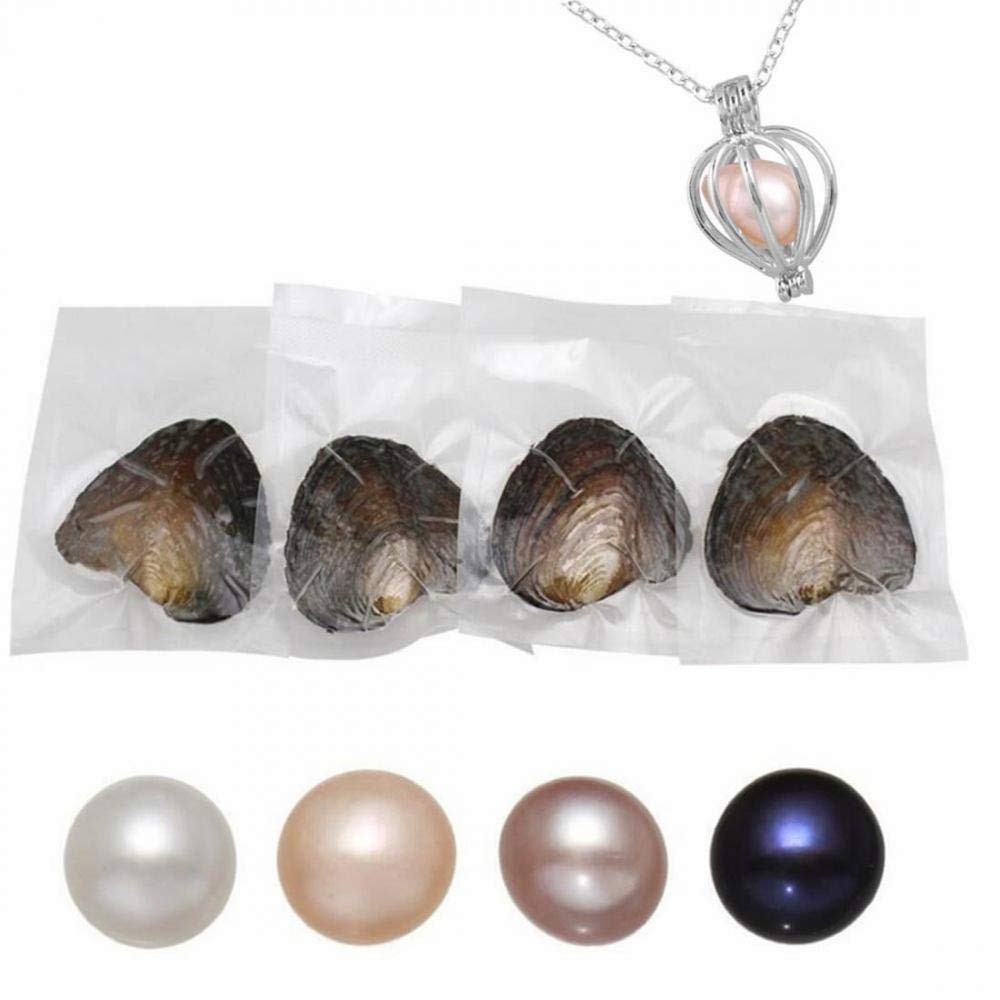 Natural Oyster Pearl,Freshwater Oval Pearls Cultured Oysters Love Wish Pearls DI