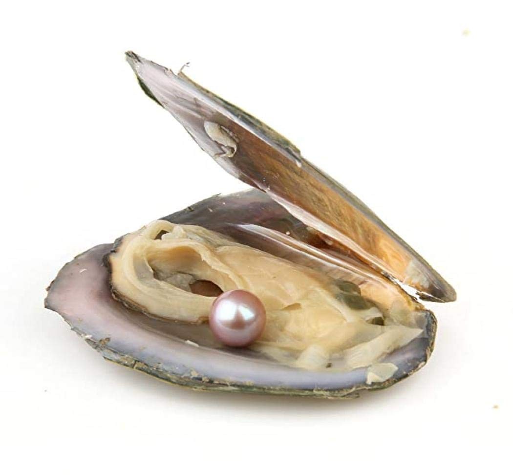 7-8mm 50 Pcs/Lot Pearls Oysters Love Wish Pearl Inside Mixed Color Pearls Bea…