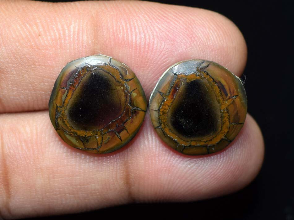 18.00 Cts. 100% Natural Septarian Gronates Matched Earrings Pair Loose Gemstones
