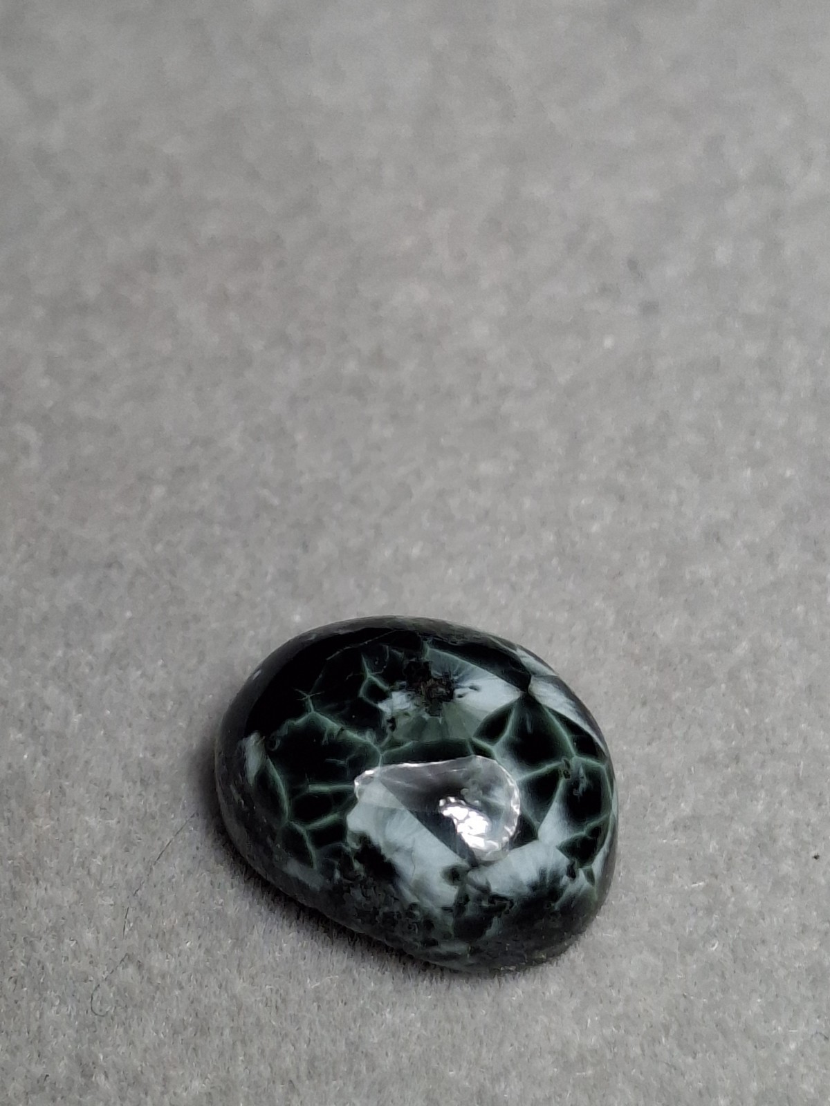 Dark Beauty tIsle Royale Greenstone Turtleback Pattern Michigan Chlorastrolite