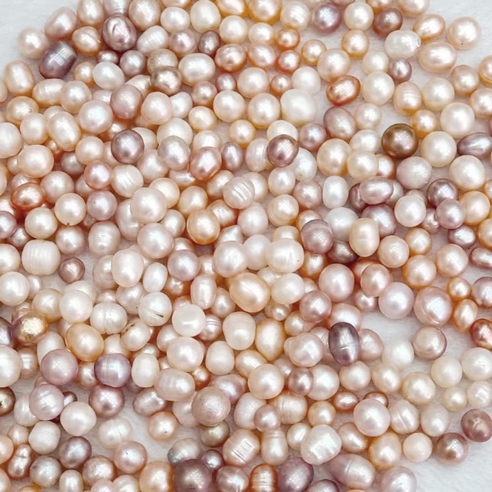 Oyster Pearls, Monster Oysters with Pearls Inside 5-8mm 25 PCs Cultured Fresh…