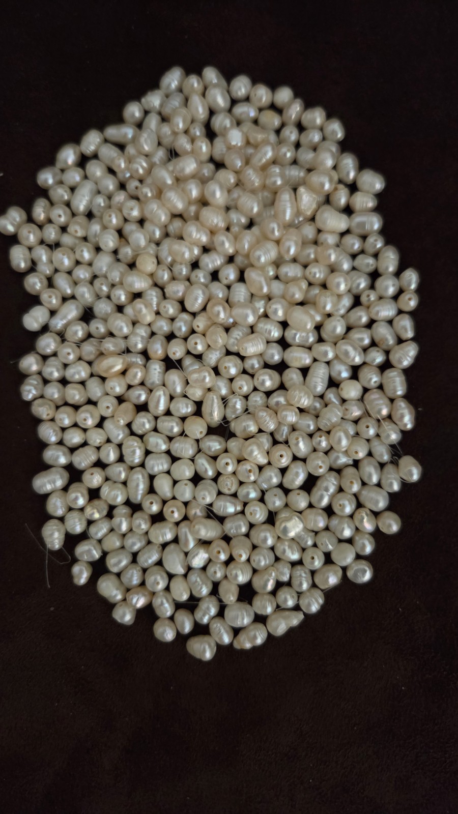 Lot Of Cream Seed Freshwater Pearls Center Drill Thru Glossy Vtg.