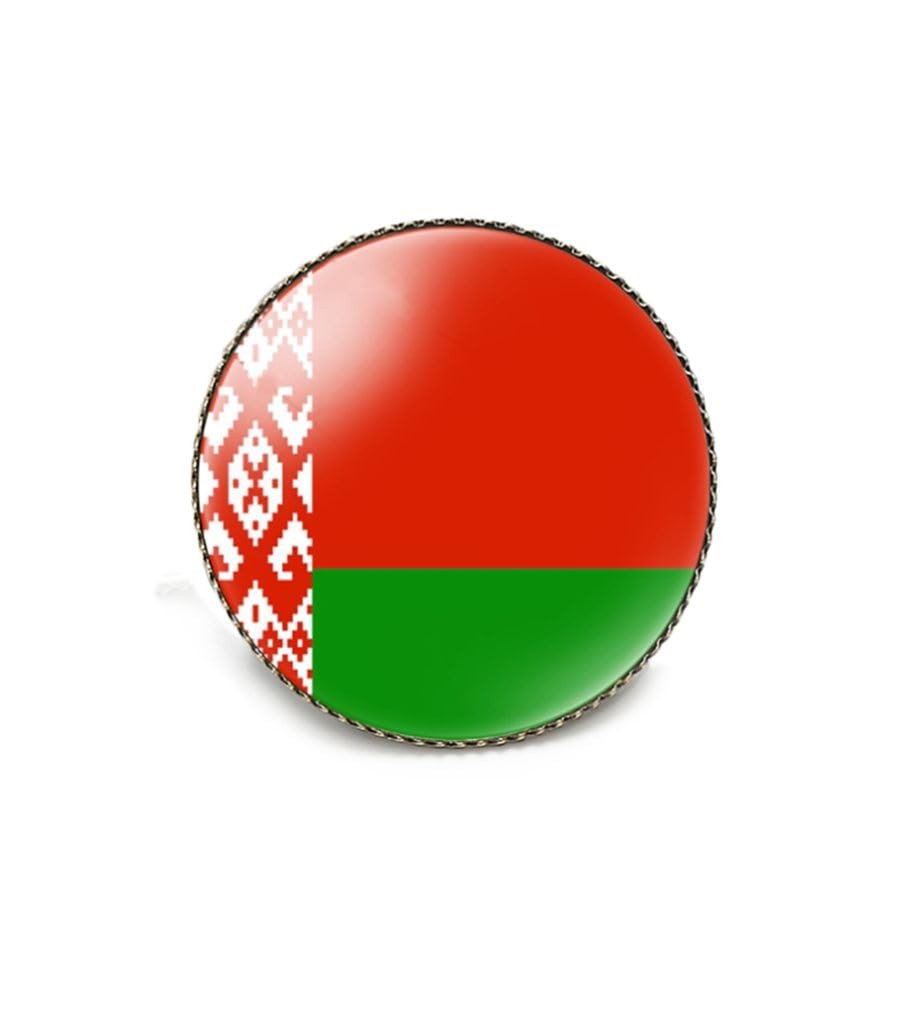 Belarus Belorussia Single Pin Brooch Badge United States USA America and Byeloru