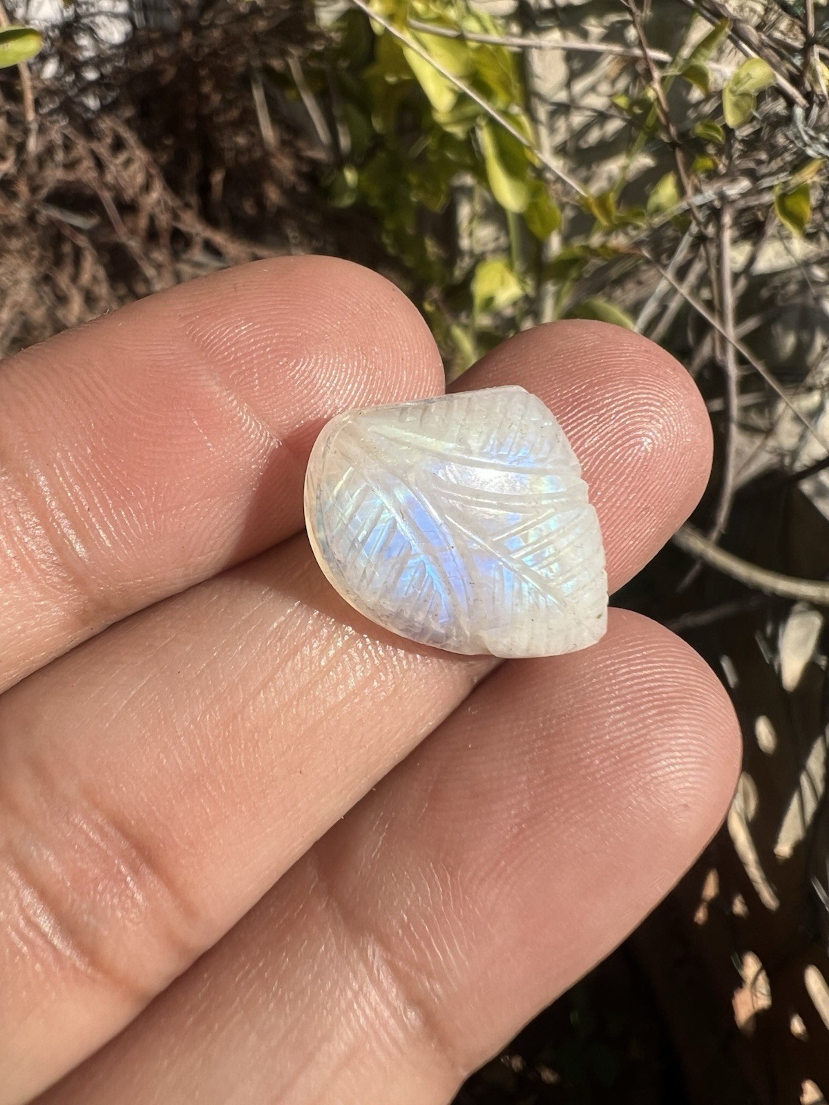 AAA Natural Rainbow Moonstone Carving Gemstone 5 Pieces!White Rainbow Carving!