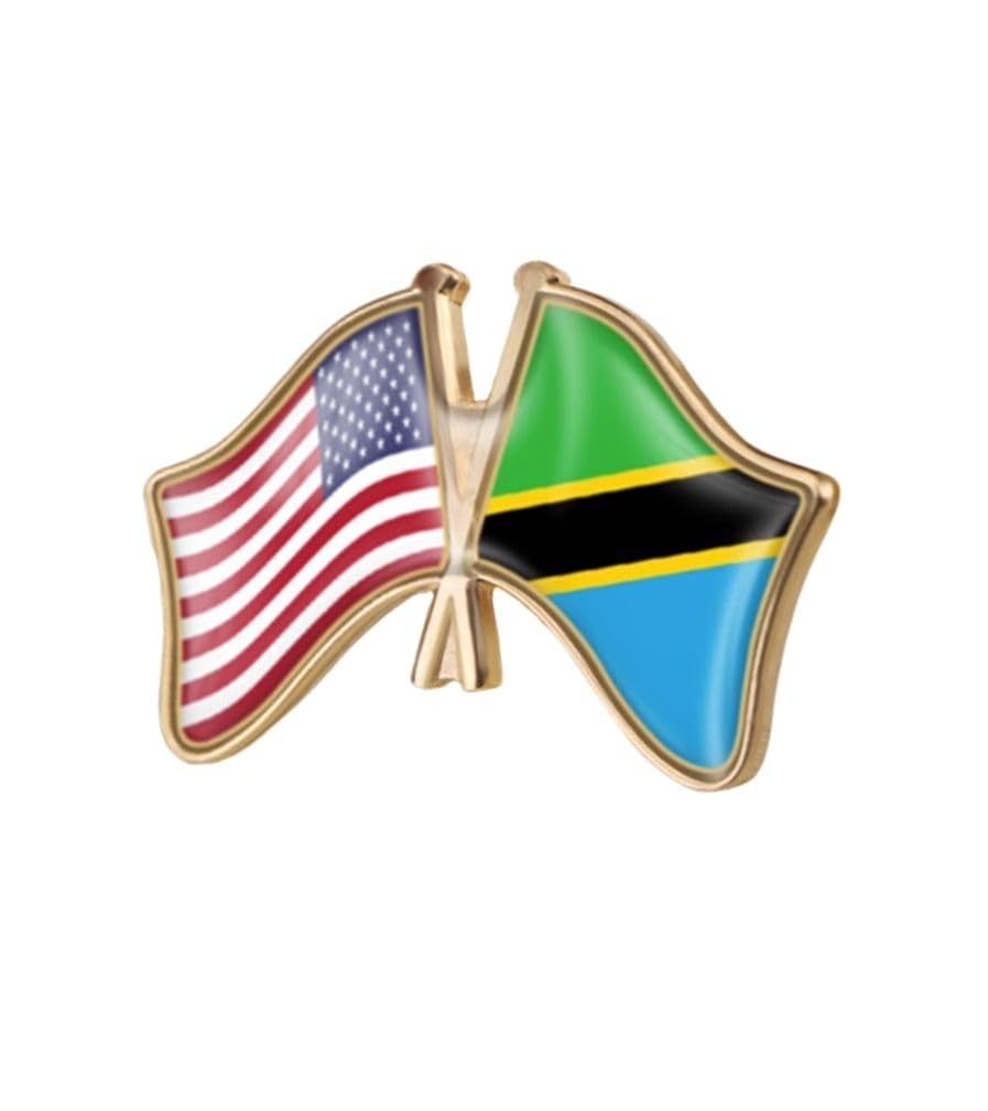 Tanzania Single Pin Brooch Badge United States USA America and Tanzania Cross Fr