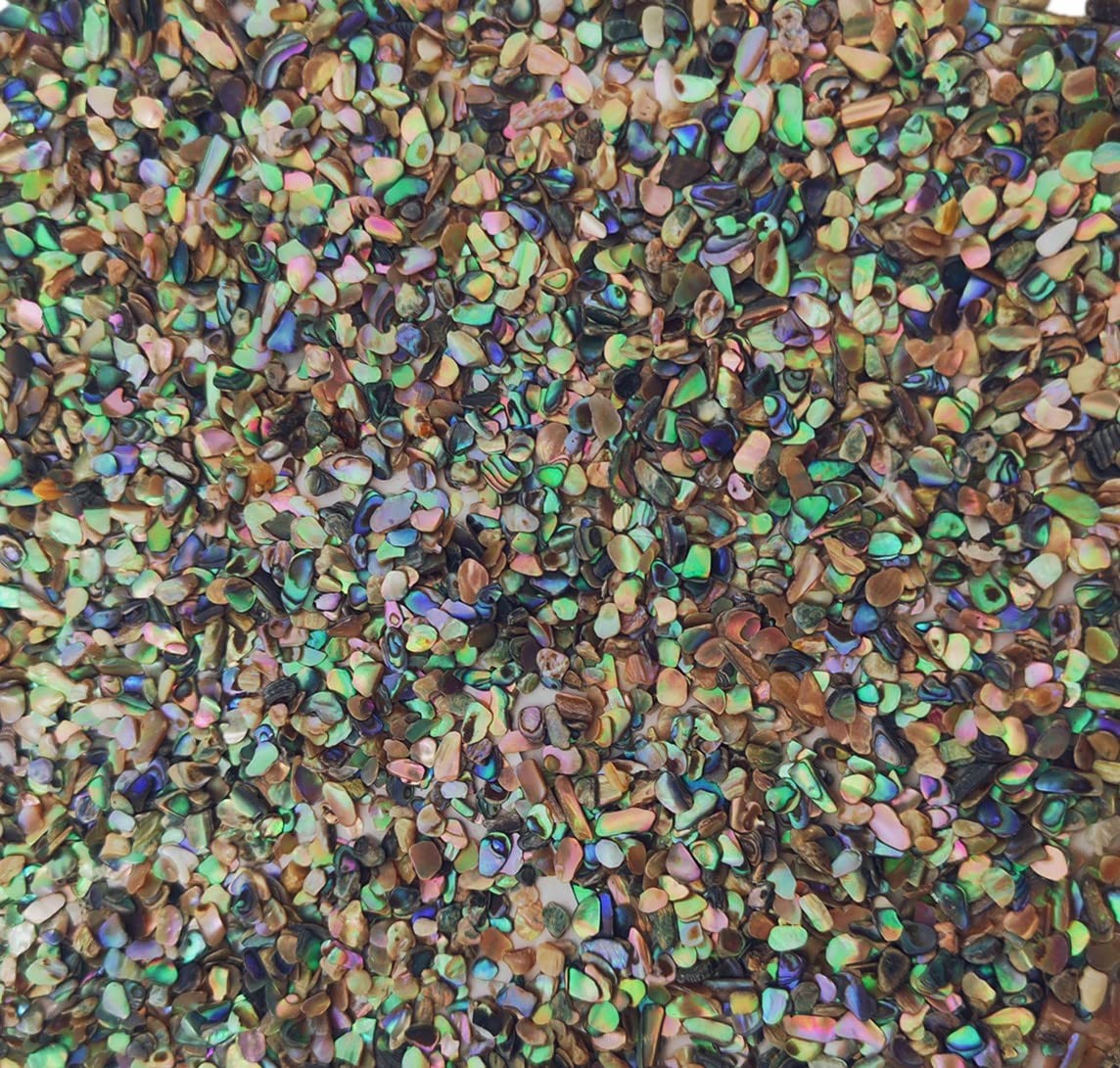 Paua Abalone Shell Pieces Jewelry Making Wood Inlay Supplies 2 oz Abalone