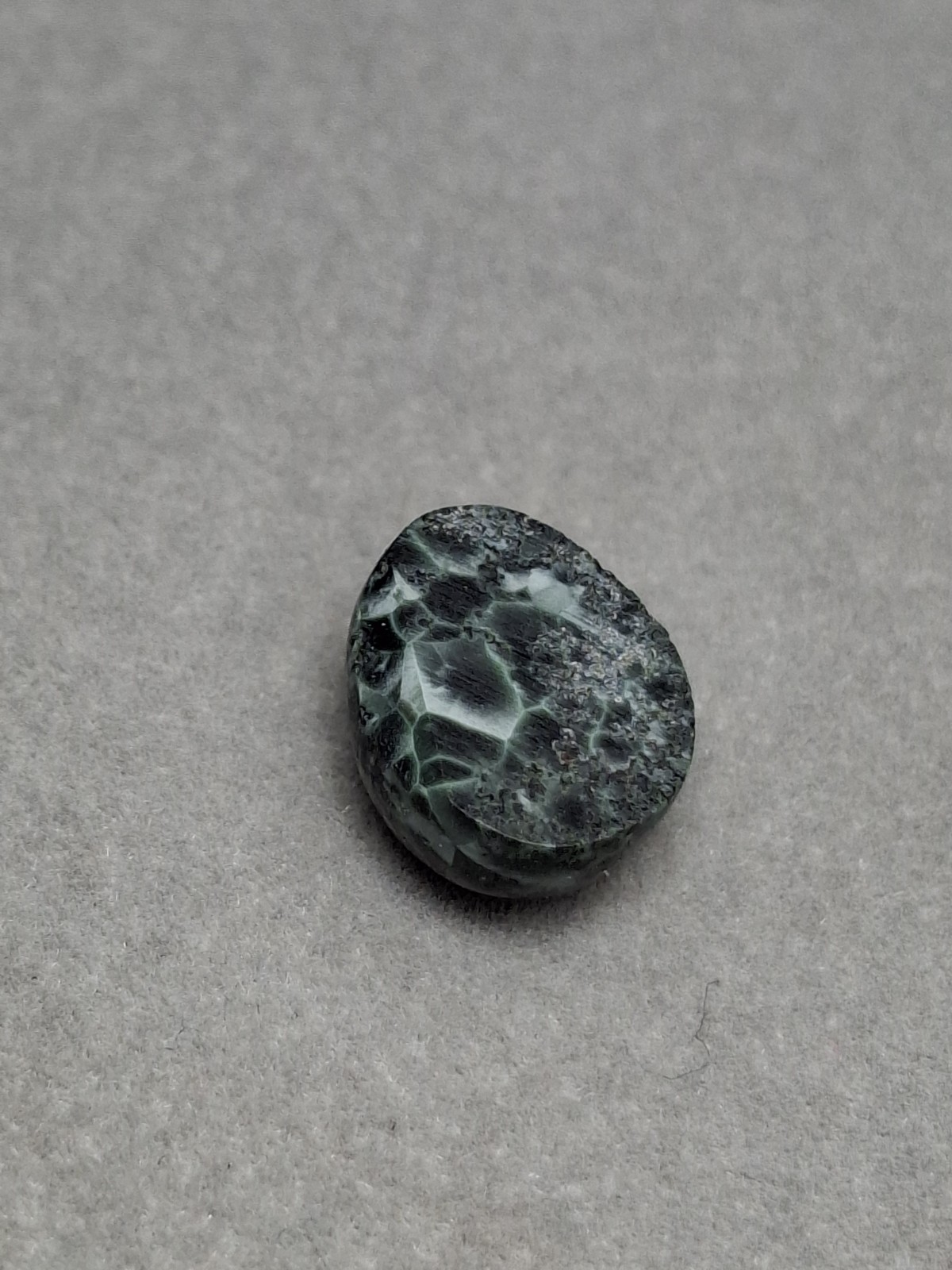 Dark Beauty tIsle Royale Greenstone Turtleback Pattern Michigan Chlorastrolite