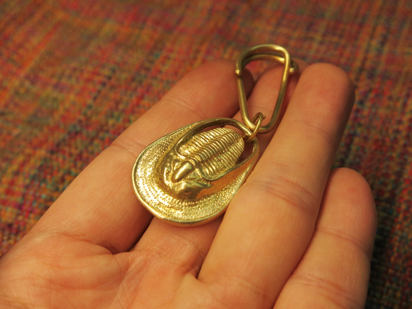 Scabriscutellum Trilobite (Brass)