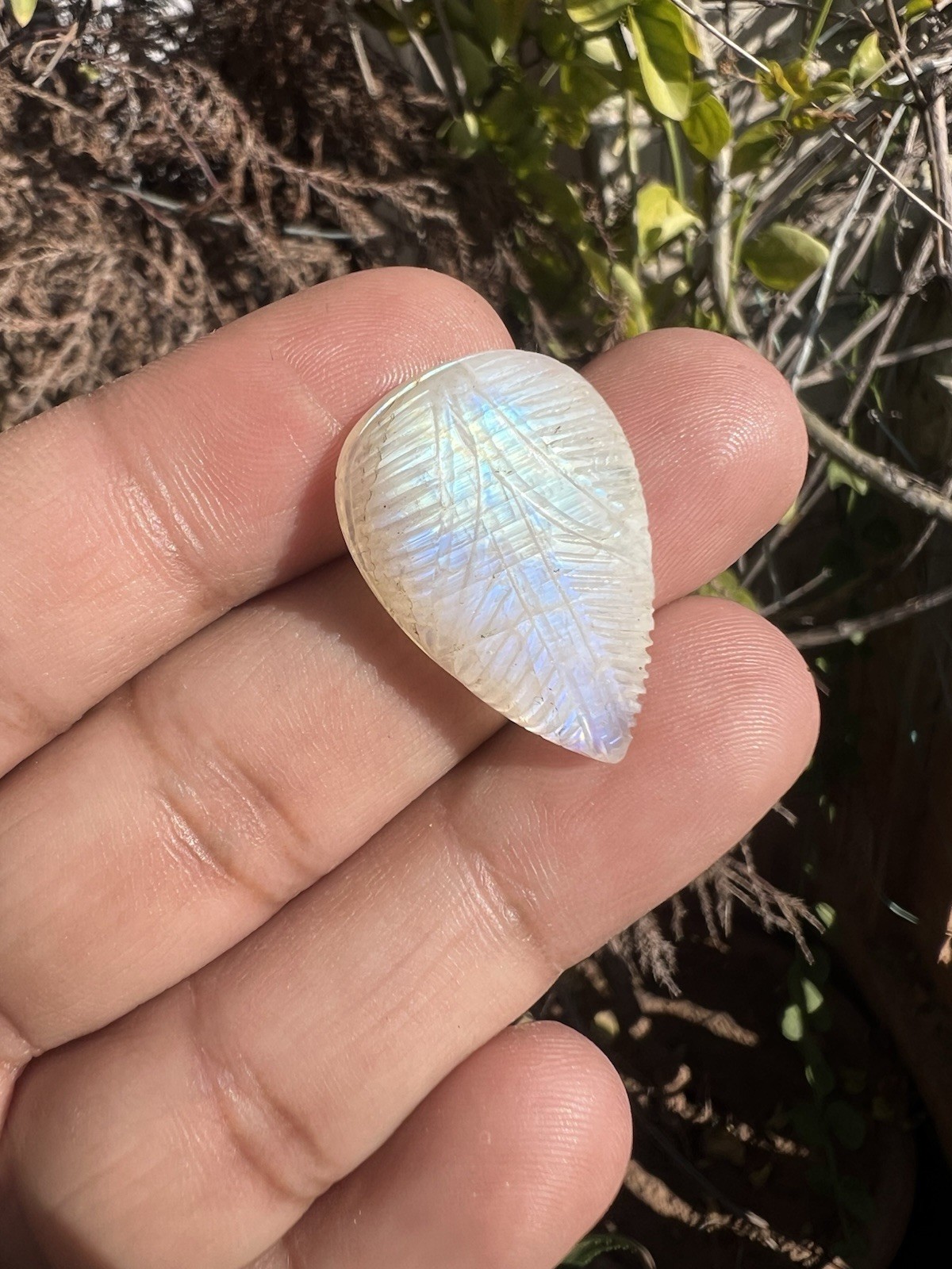 AAA Natural Rainbow Moonstone Carving Gemstone 5 Pieces!White Rainbow Carving!