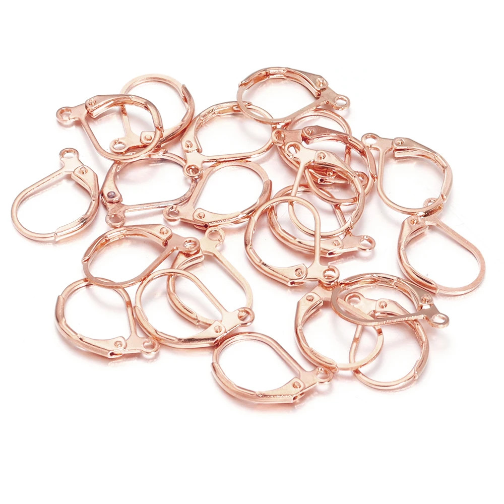 50Pcs Hypoallergenic Earring Hooks French Lever Back Earwire Stainless Steel Ear