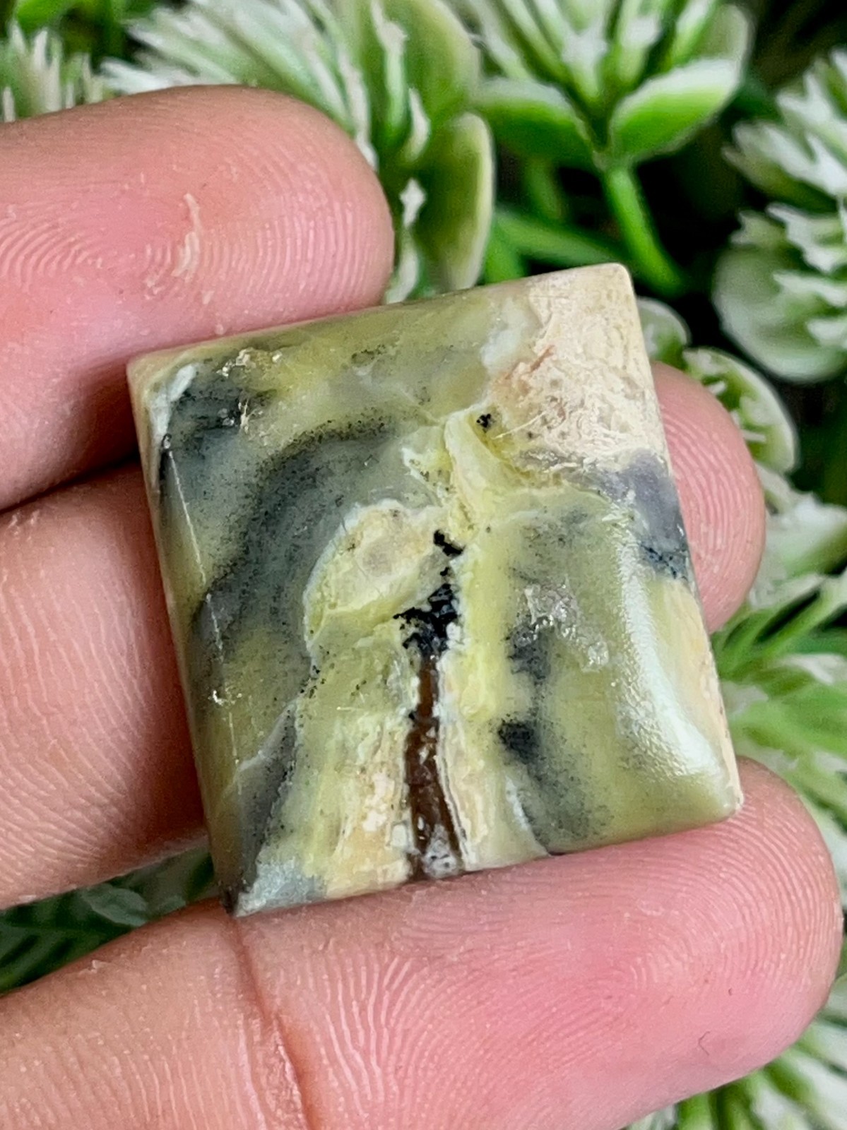 Natural Green Serpentine Cabochon For Jeweller y Making 25.85 Carats 24x22x5 mm