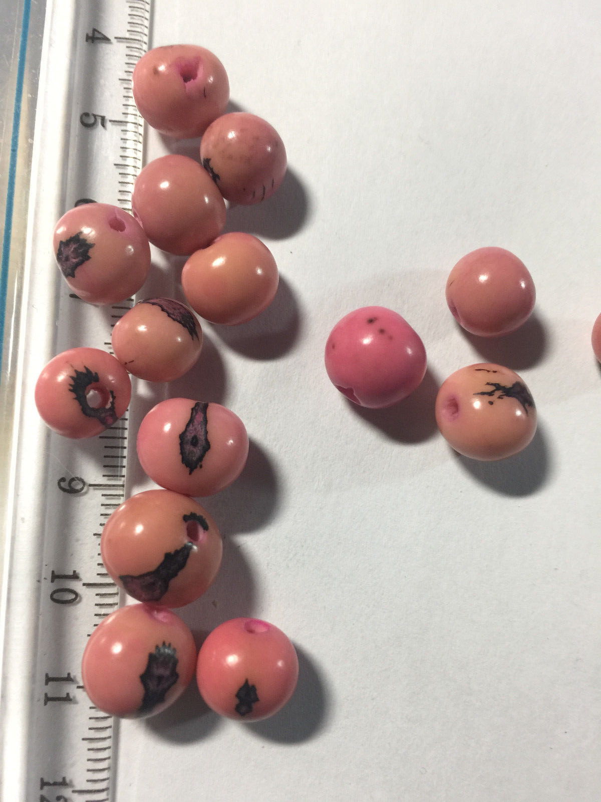 Round Tagua Nut Beads 7mm to 12mm