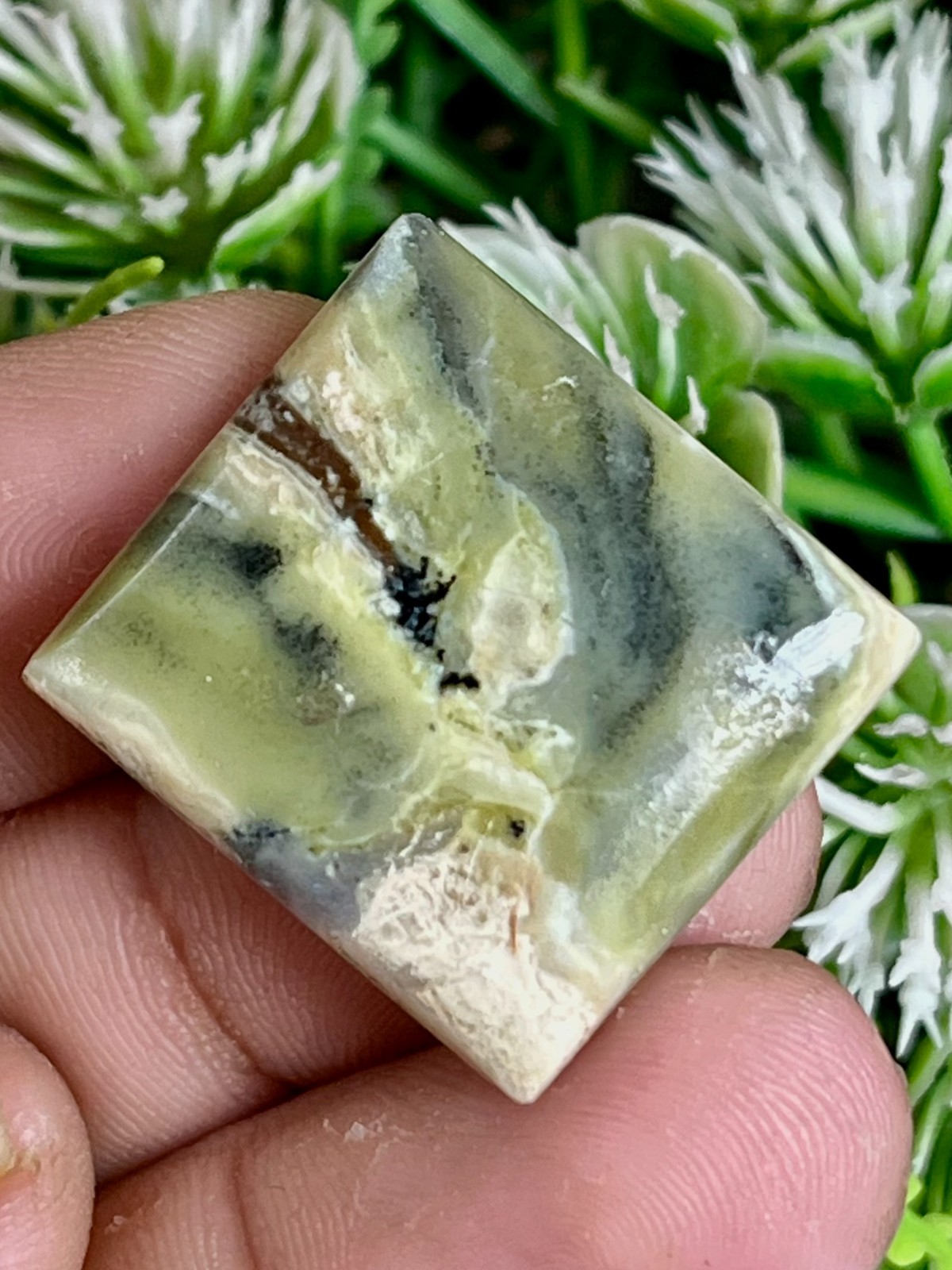 Natural Green Serpentine Cabochon For Jeweller y Making 25.85 Carats 24x22x5 mm