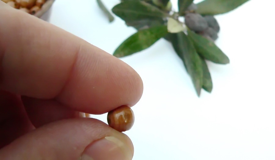 8mm OLIVE WOOD BEADS Holy Land Bethlehem Jerusalem DIY Rosary Bracelet Necklace